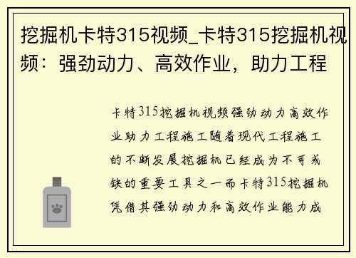 挖掘机卡特315视频_卡特315挖掘机视频：强劲动力、高效作业，助力工程施工